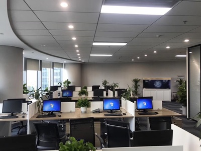 深耕區(qū)域，洞察市場(chǎng) 浙江杭鑫經(jīng)濟(jì)信息咨詢(xún)的市場(chǎng)調(diào)查實(shí)踐與價(jià)值